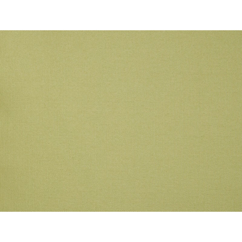 Zestaw 2 poduszek dekoracyjnych CHMISTAR 45 x 45 cm Zielony Jednolity