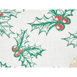 Zestaw 2 poduszek dekoracyjnych ZAMIA Bawełna 45 x 45 cm Biały Wzór świąteczny