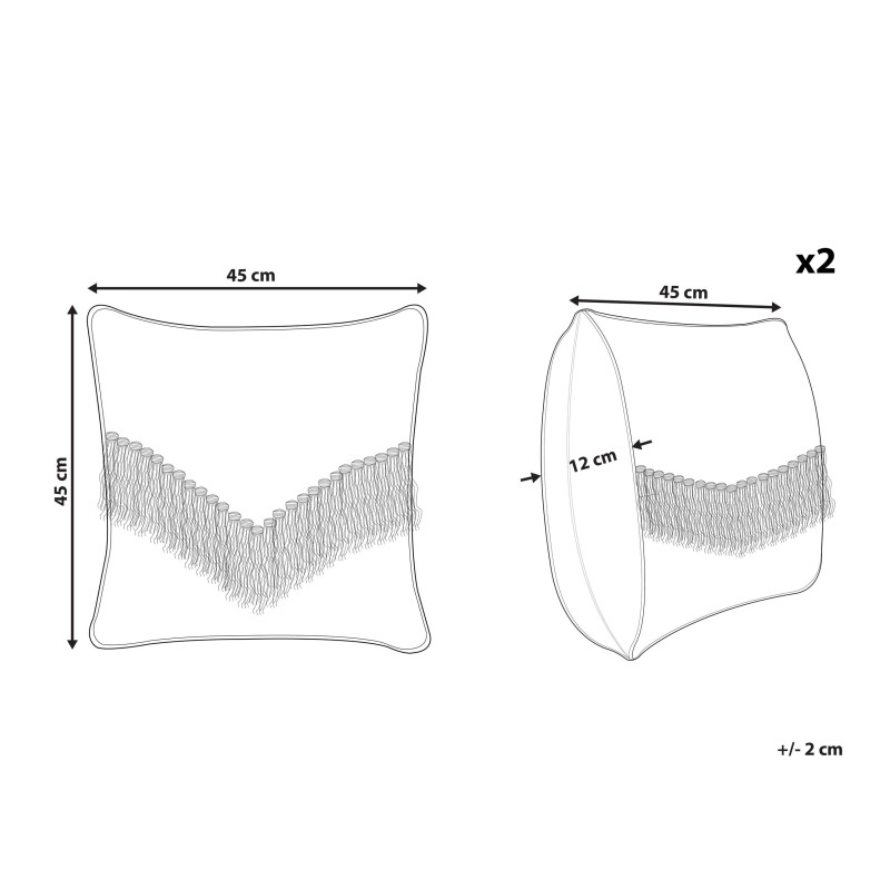 Zestaw 2 poduszek dekoracyjnych SOFCA Bawełna 45 x 45 cm Beżowy Wzór geometryczny