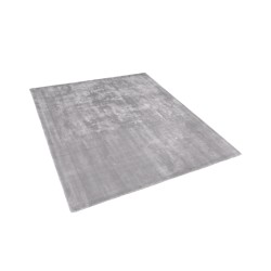 Dywan z wiskozy 200 x 200 cm jasnoszary GESI II
