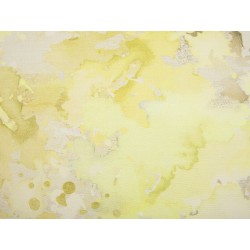 Zestaw 2 poduszek dekoracyjnych PACHIRA Bawełna 45 x 45 cm Żółty Wzór abstrakcyjny