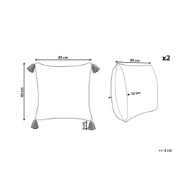 Zestaw 2 poduszek dekoracyjnych CARISSA Bawełna 45 x 45 cm Kolorowy Wzór kwiatowy
