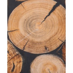 Dywan 80 x 150 cm motyw drewna KARDERE