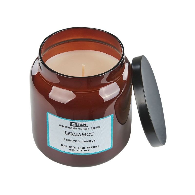 Zestaw 2 świeczek zapachowych ABSOLUTE ALCHEMY Wosk sojowy Świeże nuty