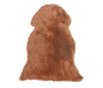 Dywan ze skóry owczej
